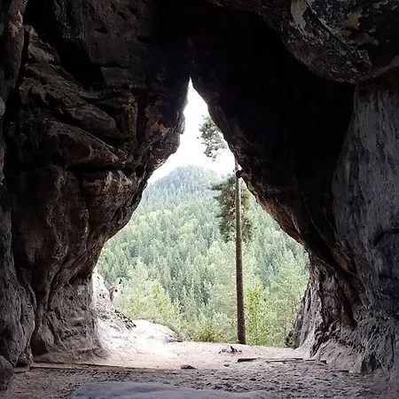 On The Ground Floor On The Wachberg Apartman